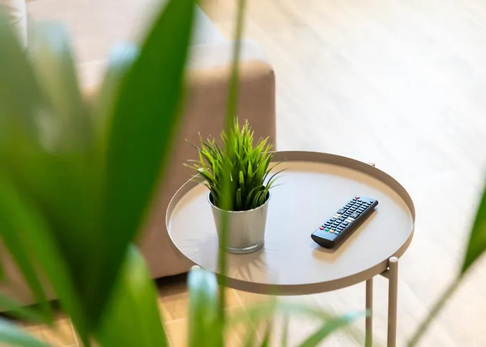 Betteloni * Бардоліно