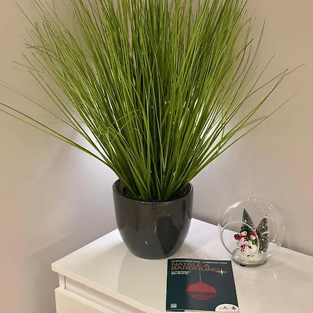 Апартаменты Betteloni